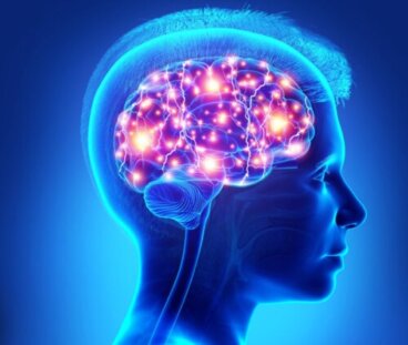 Corteccia prefrontale e adolescenti: età della pubertà?