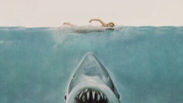 Lo Squalo: altre forme di terrore