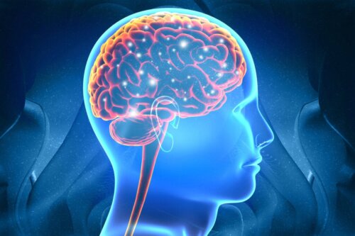 Teoria delle reti di Hebb e le sue implicazioni