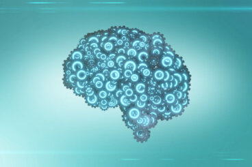 Il modello di intelligenza Radex